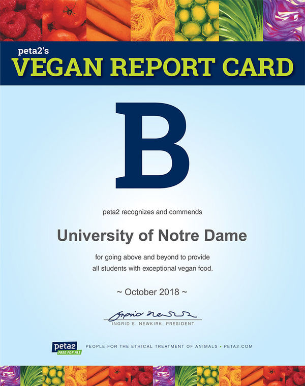 Vegan Report Card 18