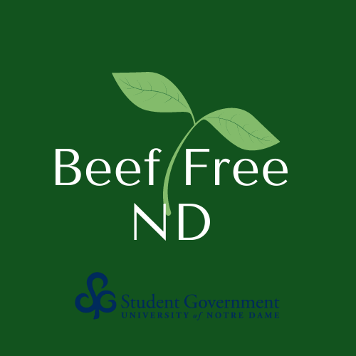 Beef Free Nd 1 2