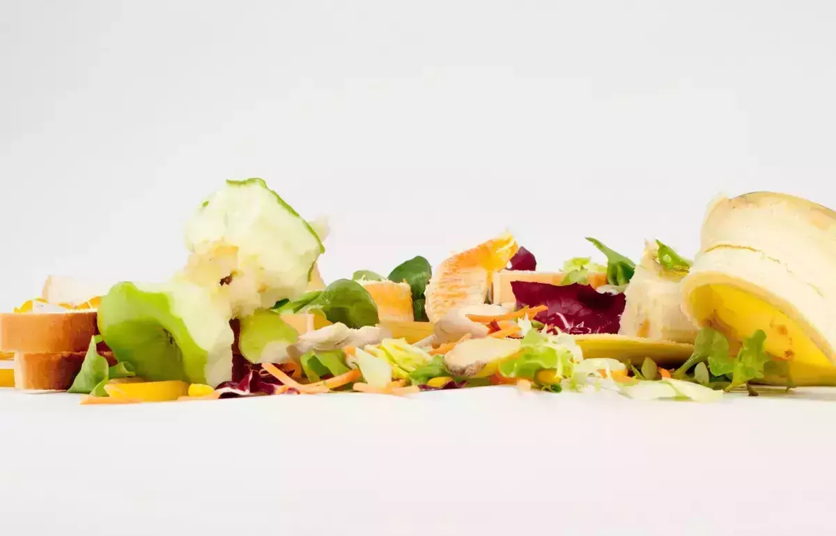 A row of colorful food rinds including apple peels, banana peels, and more on a white background.