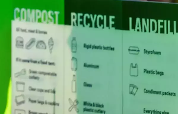 Close up view of a green yard poster that details compost versus recycle versus landfill. Small images of bottles, bags, etc. help categorize what goes in each category.