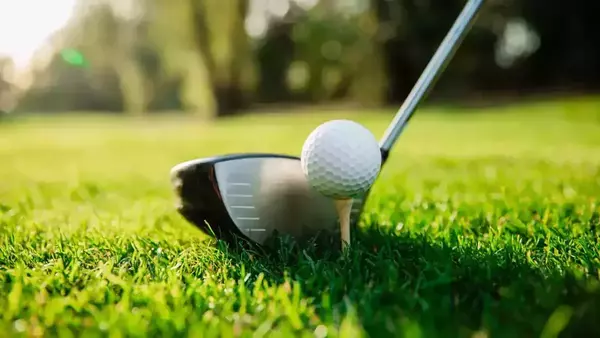 A sunny day encapsulates a golf green with a close up of a driver club placed next to a white golf ball on a wooden tee.